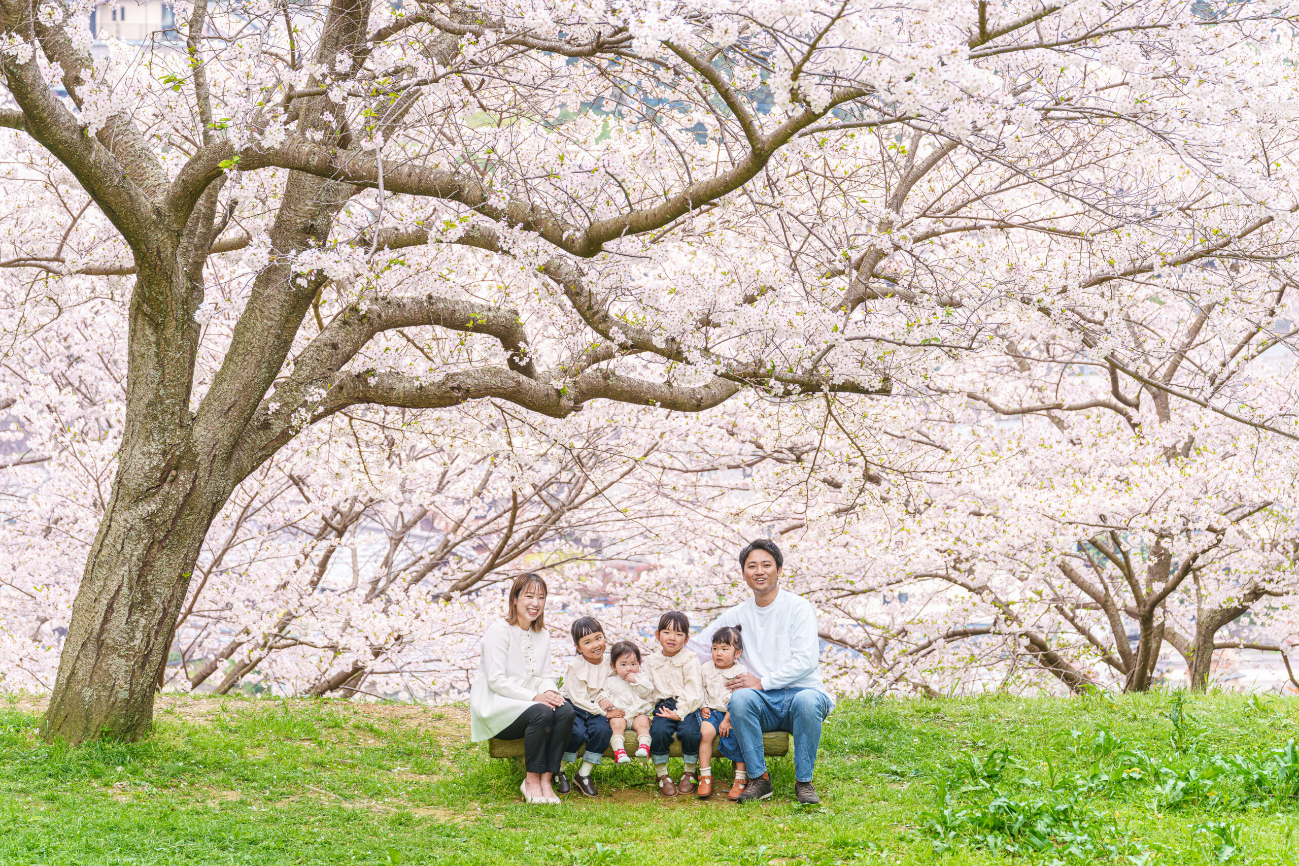 【3月】桜ロケーション撮影会のお知らせ